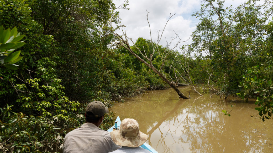 Documentary: Crocodile Adventure in Myanmar